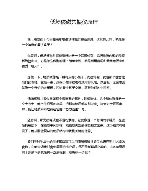 低场核磁共振仪原理