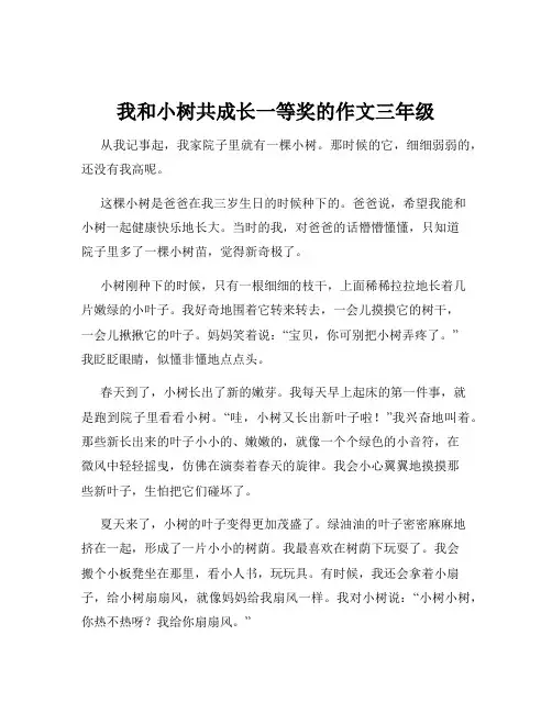 我和小树共成长一等奖的作文三年级