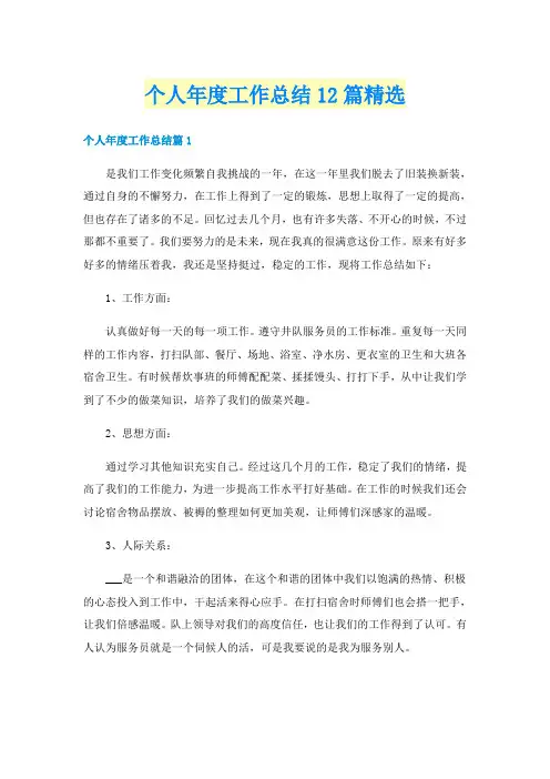个人年度工作总结12篇精选