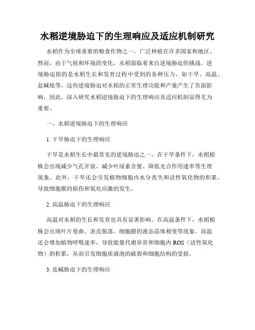水稻逆境胁迫下的生理响应及适应机制研究