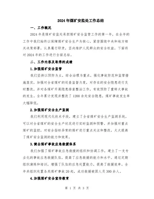 2024年煤矿安监处工作总结