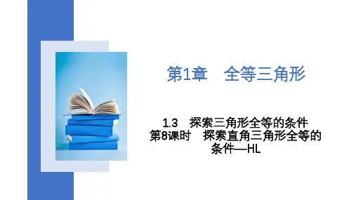 1.3 第8课时 探索直角三角形全等的条件—HL2023-2024学年苏科版八年级上册数学