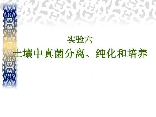 实验六_土壤中真菌纯化、分离和培养概述