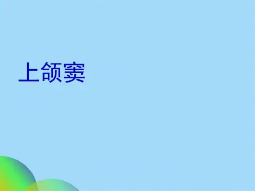 上颌窦解剖及影像学表现(共26张PPT)