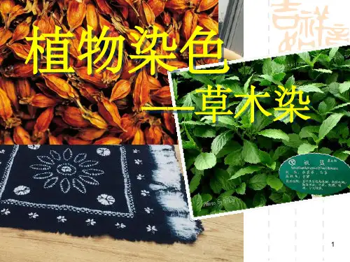 植物染色
