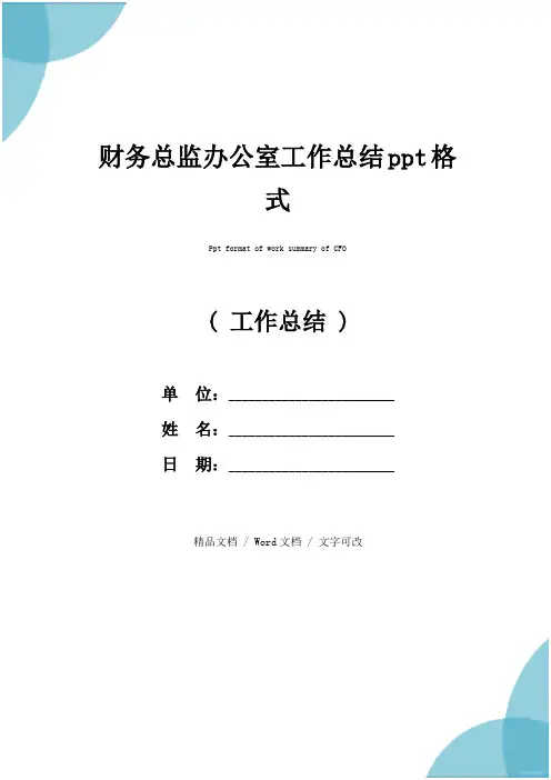 财务总监办公室工作总结ppt格式