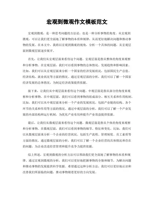 宏观到微观作文模板范文