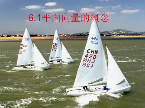 人教版高中数学新教材必修第二册课件：6.1  平面向量的概念  (共21张PPT)