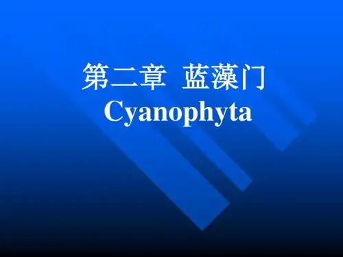 第二章  蓝藻门