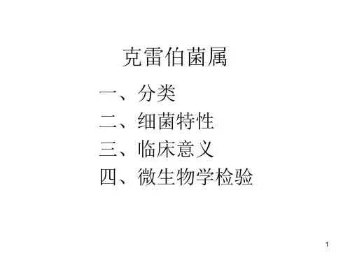 克雷伯菌属优秀课件