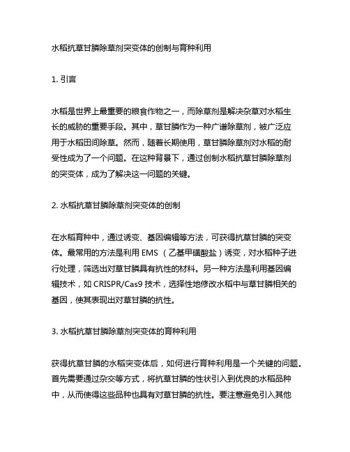 水稻抗草甘膦除草剂突变体的创制与育种利用