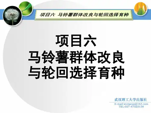 10.项目六  马铃薯群体改良与轮回选择育种