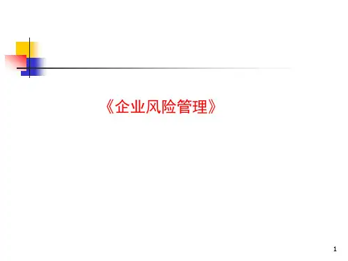企业的风险管理