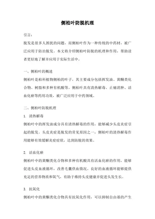 侧柏叶防脱机理