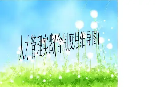 人才管理实践(含制度思维导图)