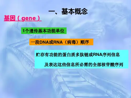 基因组结构与功能