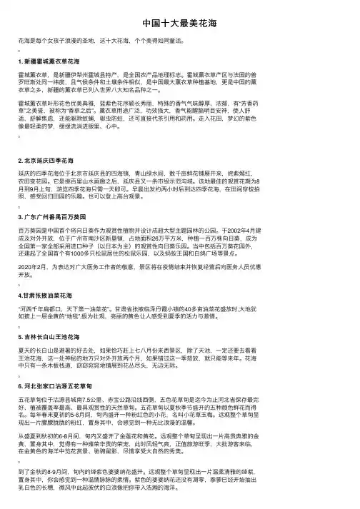 中国十大最美花海