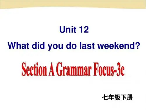 人教版英语七年级下册unit12 section A grammar focus 课件(共19张PPT)