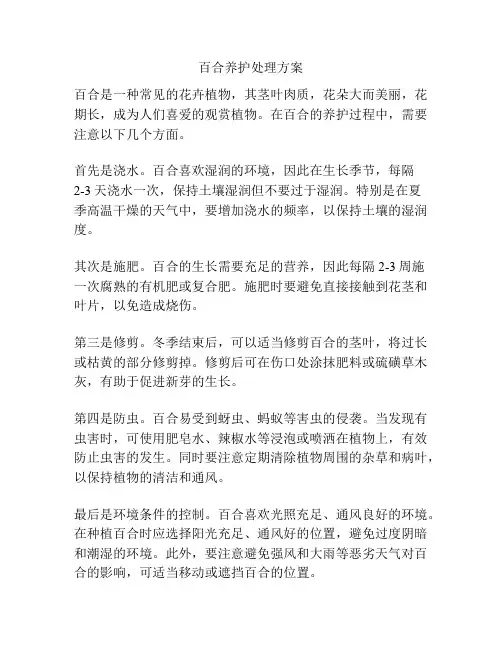 百合养护处理方案