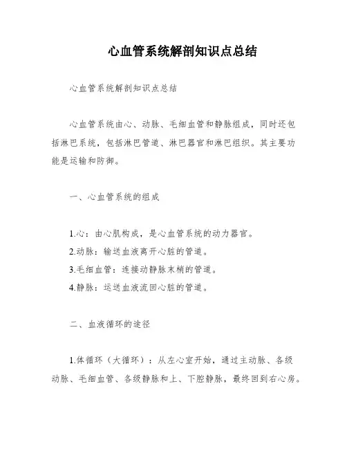 心血管系统解剖知识点总结