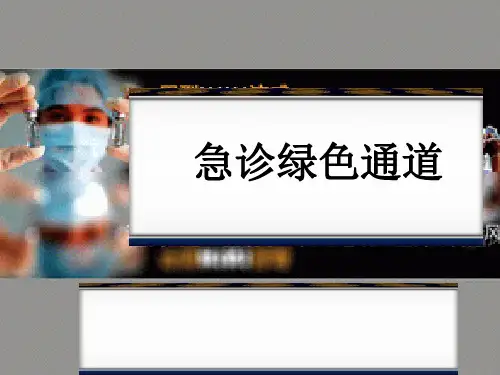 急诊绿色通道ppt课件