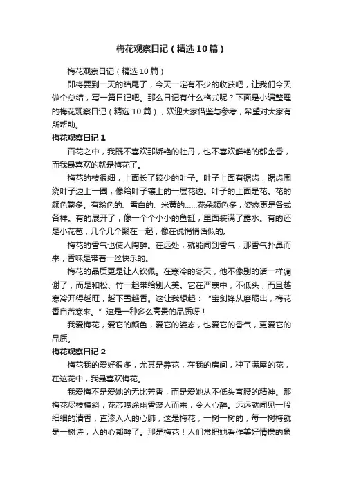 梅花观察日记（精选10篇）