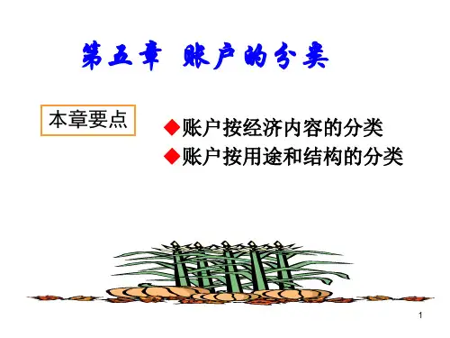 基础会计学第五章 账户的分类