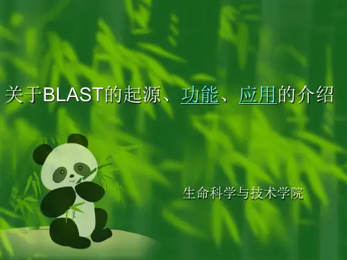 blast应用简介