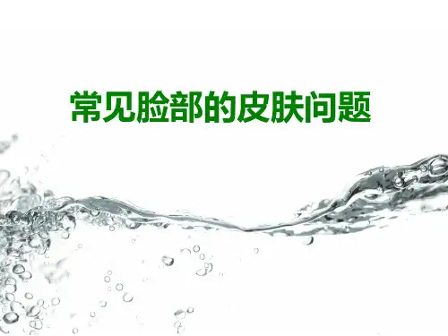 几种脸部常见的肌肤问题 PPT课件