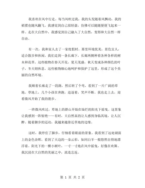 在风中行走作文范文