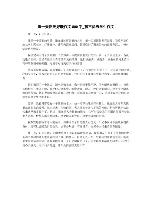 那一天阳光好暖作文800字_初三优秀学生作文
