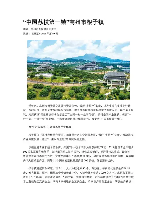 “中国荔枝第一镇”高州市根子镇