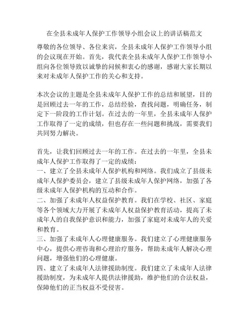 在全县未成年人保护工作领导小组会议上的讲话稿范文