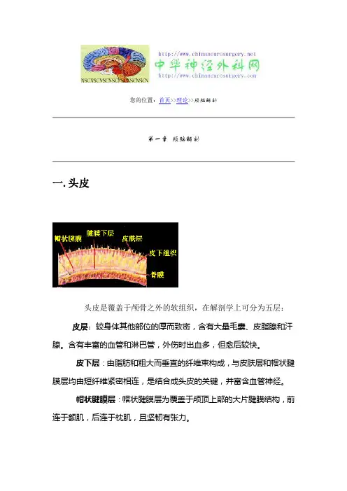 第一章 颅脑解剖