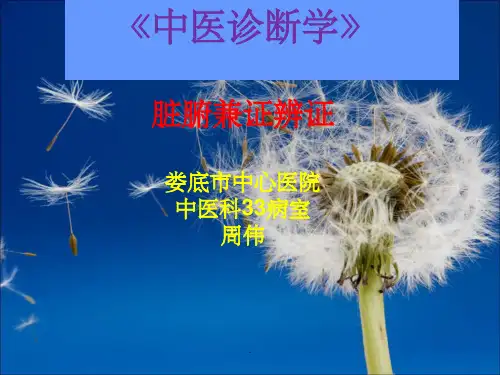 《脏腑兼证辨证》