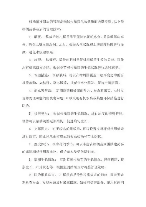 柑橘苗移栽后管理技术