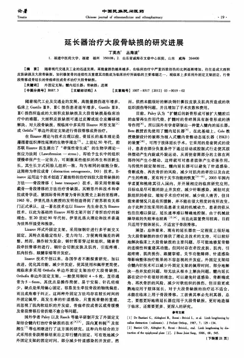 延长器治疗大段骨缺损的研究进展