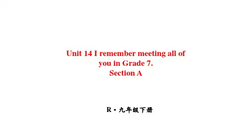 初中英语九年级下册单词Unit 14 Section A