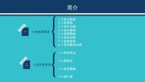 小麦病虫害图谱PPT课件