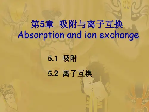 吸附和离子交换专题教育课件