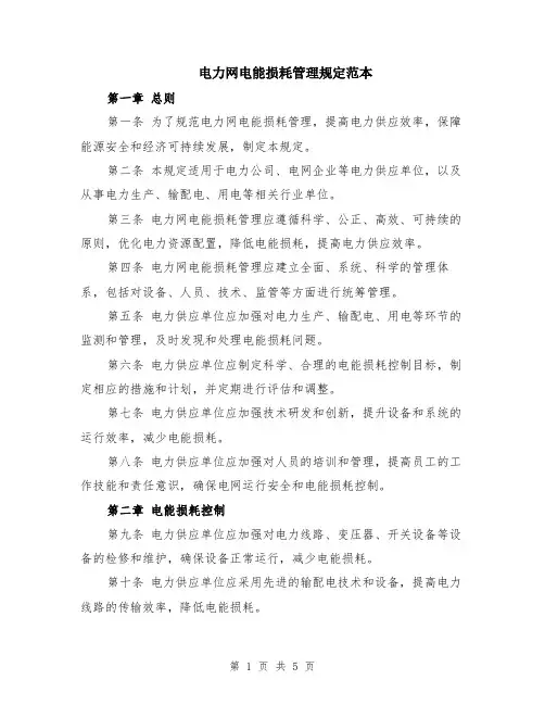 电力网电能损耗管理规定范本（2篇）