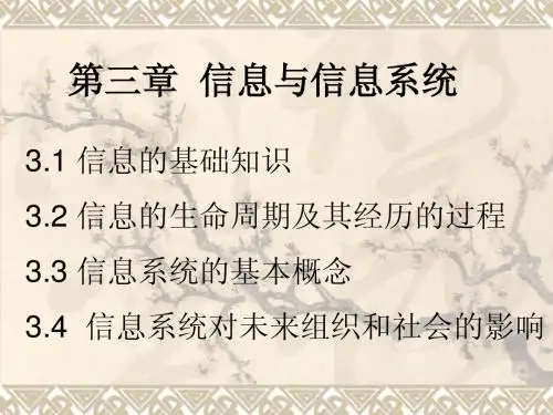 第三章 信息与信息系统