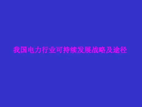 我国电力行业可持续发展战略及途径