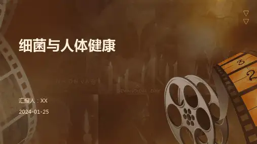 细菌与人体健康