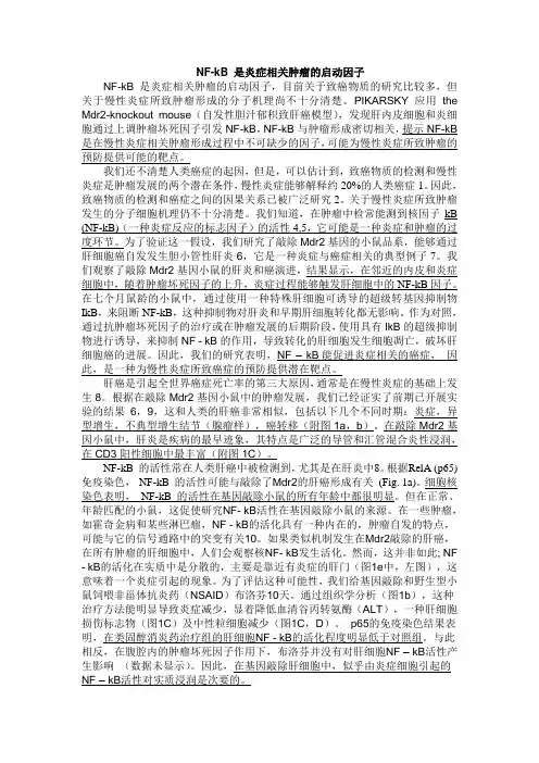 NF-kB 炎症相关肿瘤的启动因子