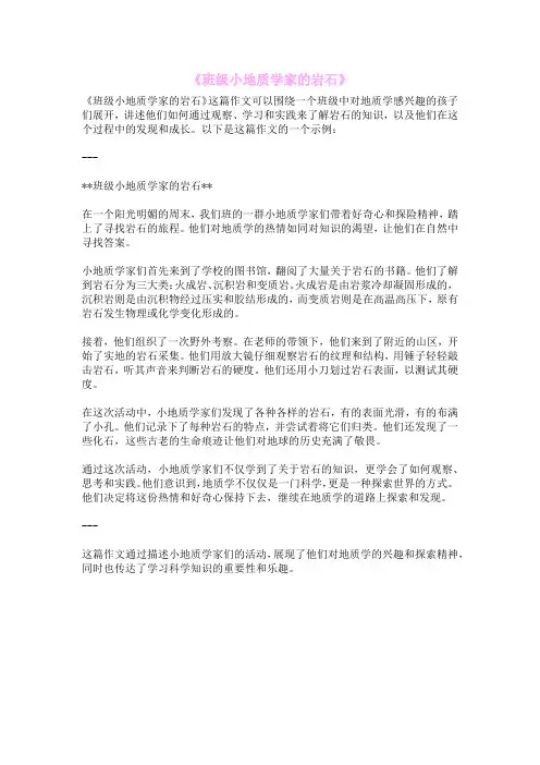 《班级小地质学家的岩石》