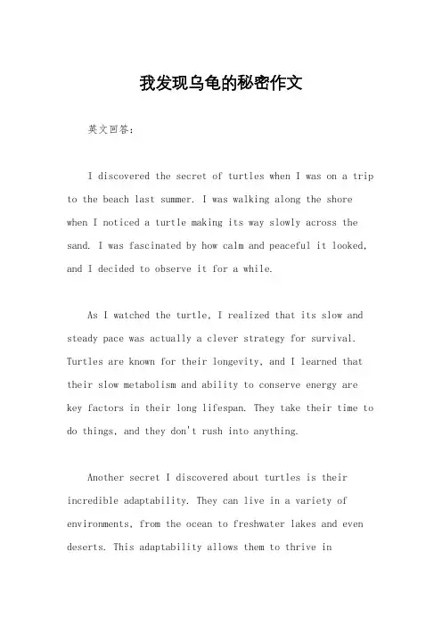我发现乌龟的秘密作文