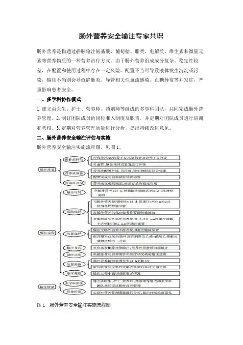 肠外营养安全输注专家共识(2022版)