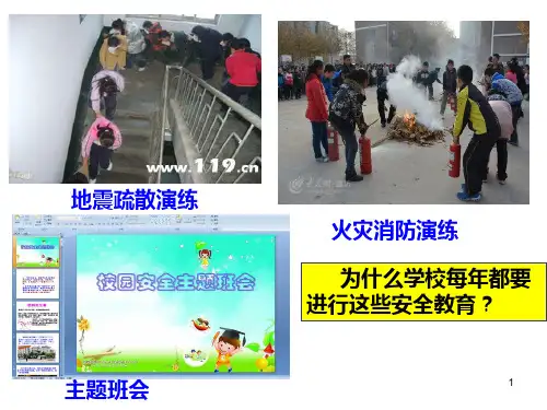 《道德与法治》七年级上册：守护生命PPT课件