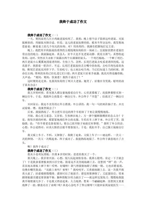 我终于成功了作文